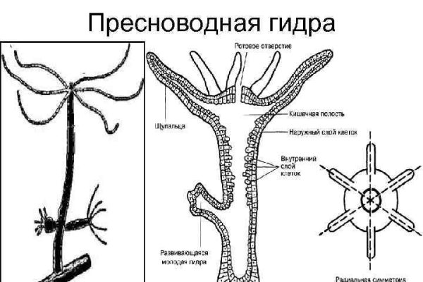 Кракен топ