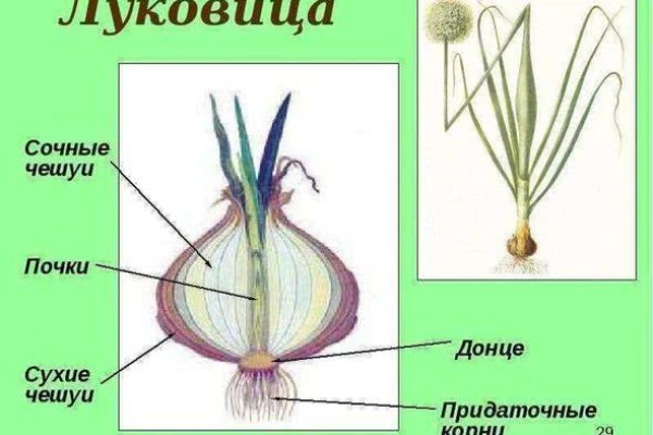 Как зарегистрироваться на кракене