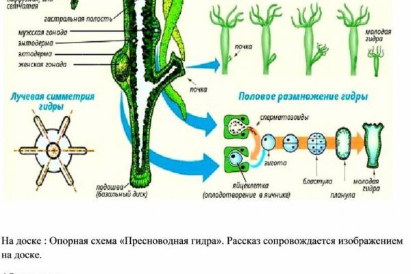 Кракен маркетплейс