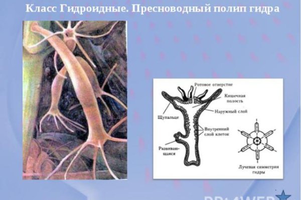 Как восстановить аккаунт на кракене даркнет