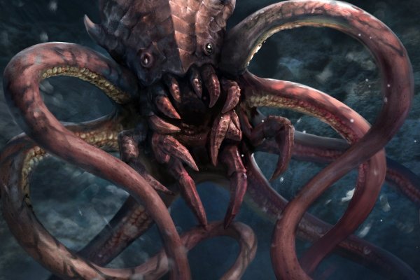 Kraken tor link